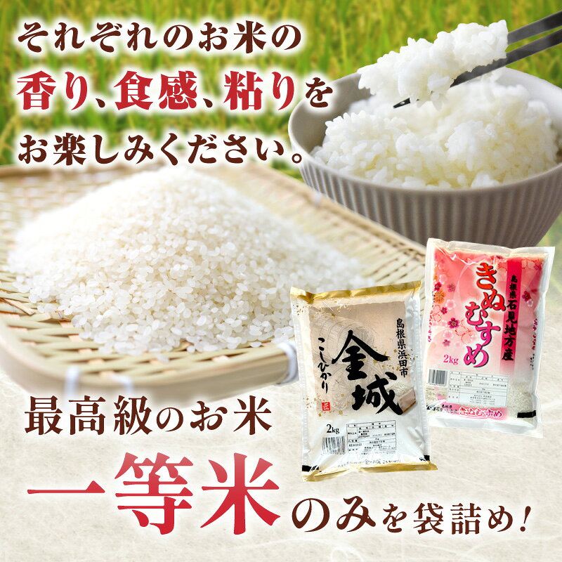 【ふるさと納税】【令和8年産】【新米先行予約】浜田市金城町産こしひかり（2kg×1袋）・きぬむすめ（2kg×1袋）＜2026年11月上旬より配送開始＞ 米 お米 精米 白米 コシヒカリ きぬむすめ ごはん 新生活 応援 準備 食べ比べ セット 【058_1900】 f322024-hamada-10002694 島根県浜田市 サンプル画像2