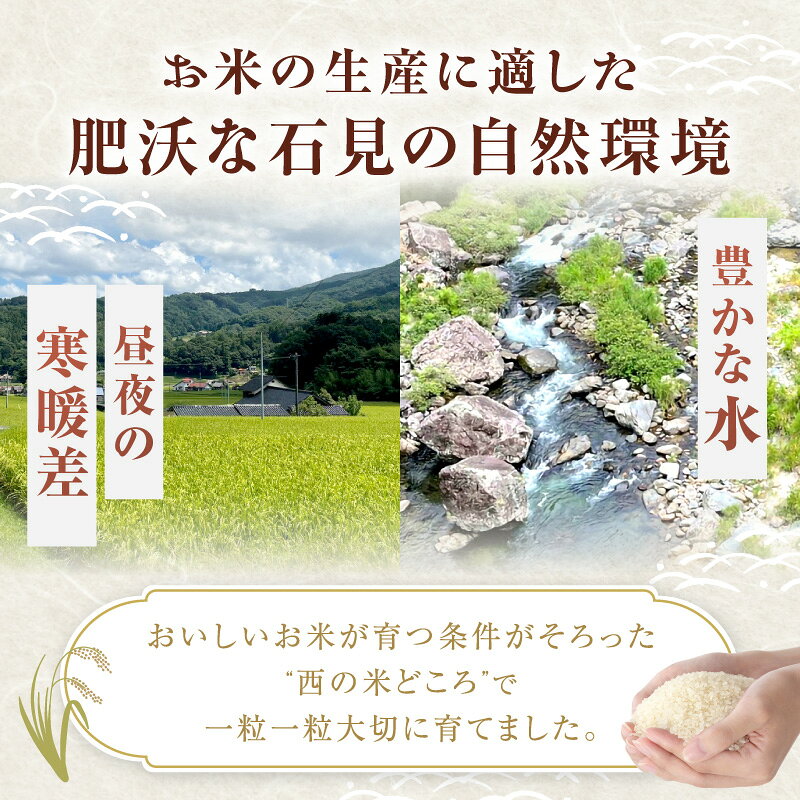 【ふるさと納税】【令和7年産】神楽の郷 石見のこしひかり 【5kg～10kg/1回～12回】 選べる 内容量 こしひかり お取り寄せ 特産品 島根 県産 精米 玄米 新生活 応援 準備 f322024-hamada-10001612 島根県浜田市 サンプル画像3