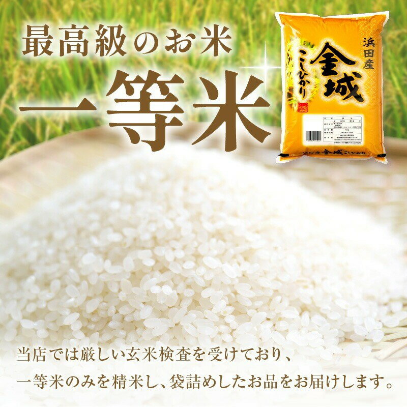 【ふるさと納税】【令和5年産】無洗米 浜田市金城町産こしひかり 【5kg 6kg 10kg/6回 12回】 選べる 定期便 米 こしひかり お米 新生活応援 お中元 お取り寄せ 特産 ごはん ご飯 コメ 新生活 応援 準備