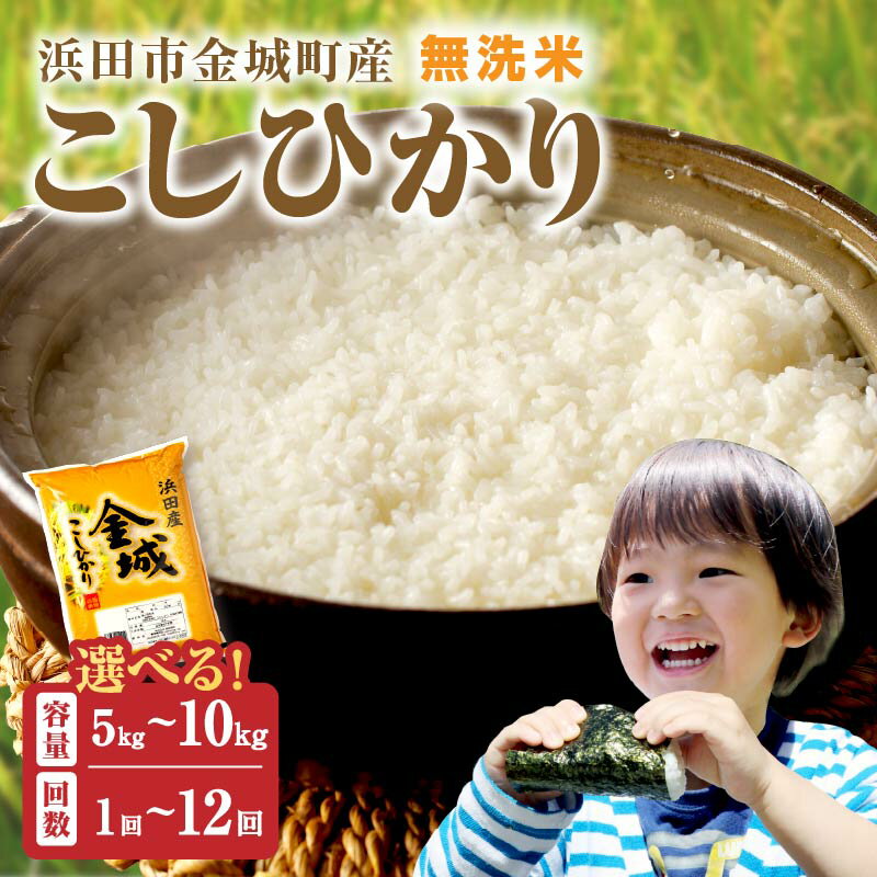 【ふるさと納税】【令和6年産】無洗米 浜田市金城町産こしひかり 【5kg 6kg 10kg/6回 12回】 選べる 定期便 米 こしひかり お米 新生活応援 お中元 お取り寄せ 特産 ごはん ご飯 コメ 新生活 応援 準備のサムネイル