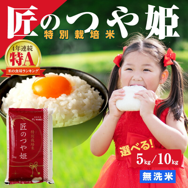 [令和5年産]無洗米 特別栽培米「匠のつや姫」 [5kg 10kg] 米 白米 精米 無洗米 特別栽培米 つや姫