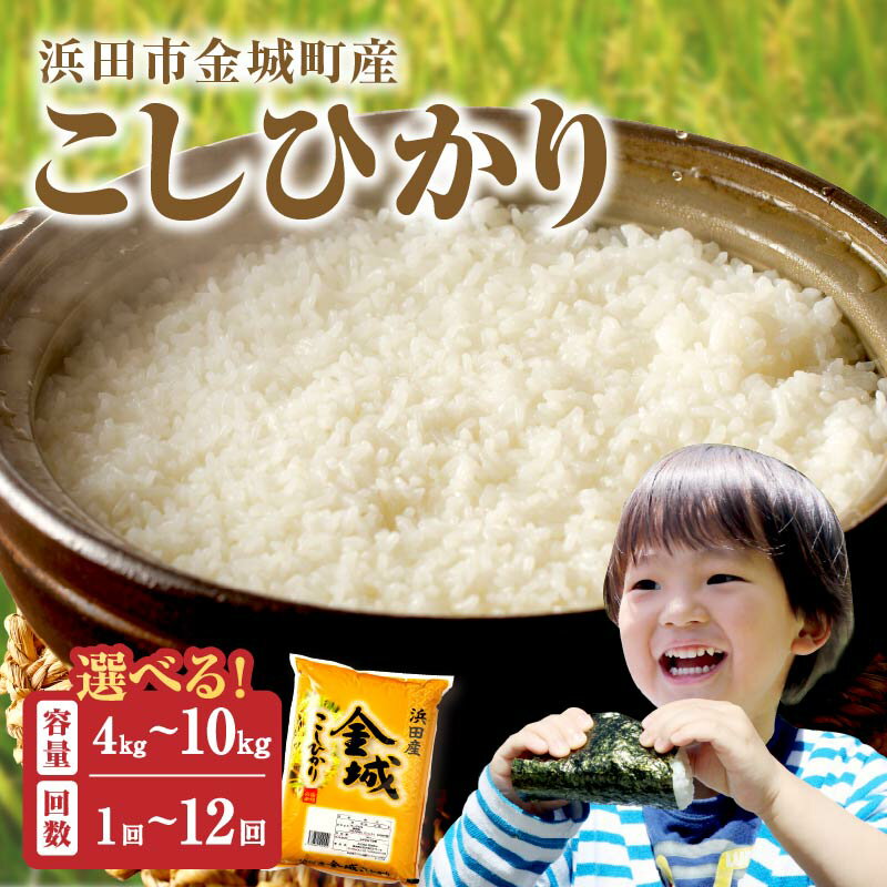 【ふるさと納税】【令和5年産】浜田市金城町産「こしひかり」【5kg～10kg/1回～12回】選べる 定期便 こしひかり お取り寄せ 特産 お米 精米 白米 ごはん ご飯 コメ 新生活 応援 準備