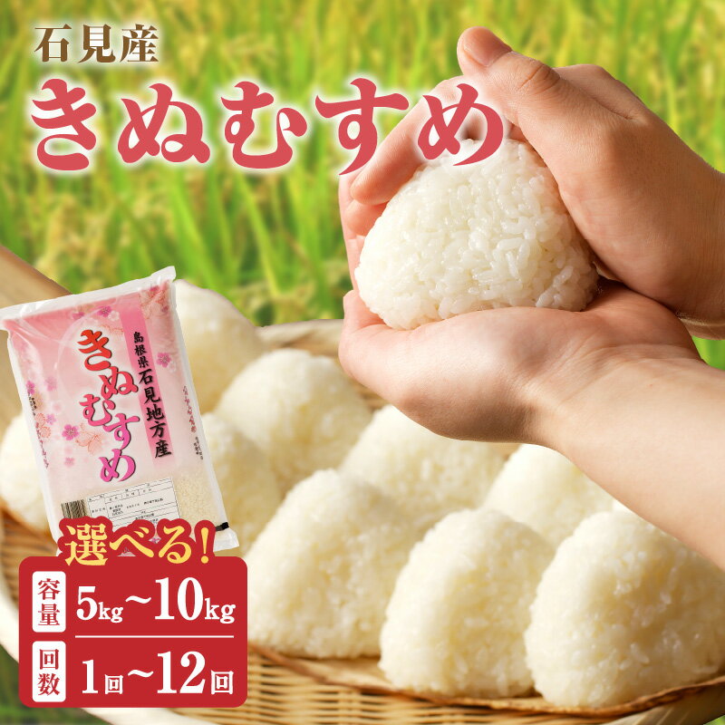 [令和5年産]石見産「きぬむすめ」 [5kg〜10kg/1回〜12回] 選べる 定期便 米 お米 きぬむすめ 精米 白米 ごはん 新生活 応援 準備 お取り寄せ 特産