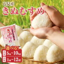 【ふるさと納税】【令和7年産】【新米先行予約】【定期便】石見産きぬむすめ【5kg〜10kg/1回〜12回】 選べる 定期便 米 お米 きぬむすめ 精米 白米 ご...