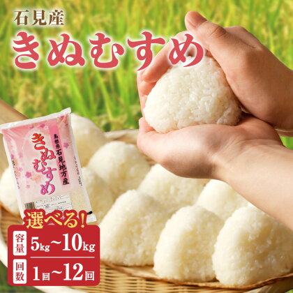 【令和5年産】石見産「きぬむすめ」 【5kg～10kg/1回～12回】 選べる 定期便 米 お米 きぬむすめ 精米 白米 ごはん 新生活 応援 準備 お取り寄せ 特産