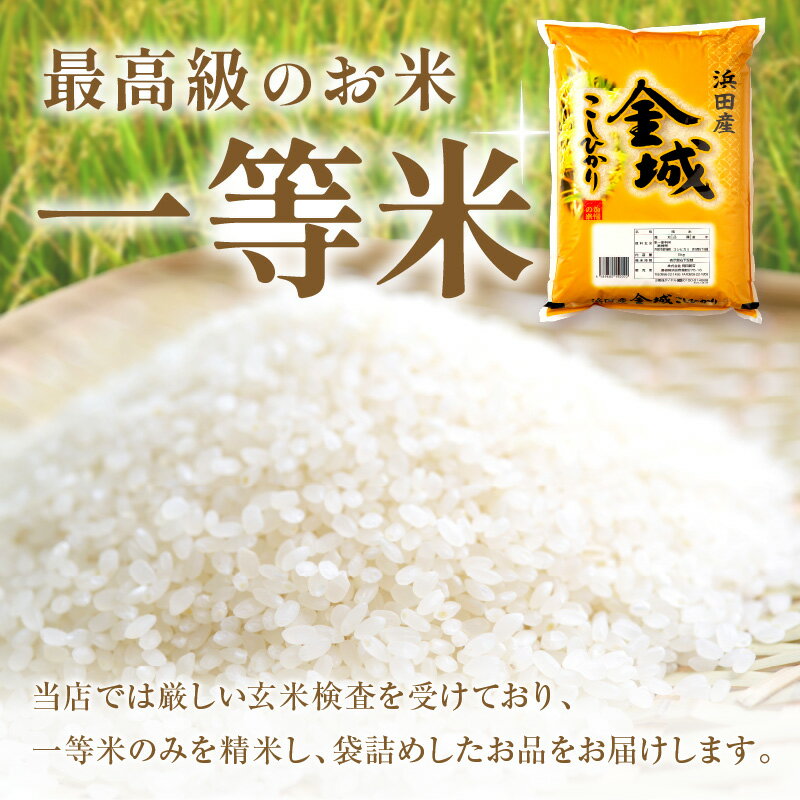 【ふるさと納税】【令和5年産】浜田市金城町産「こしひかり」【5kg～10kg/1回～12回】選べる 定期便 こしひかり お取り寄せ 特産 お米 精米 白米 ごはん ご飯 コメ 新生活 応援 準備