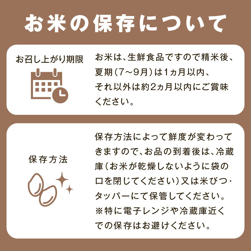 サンプル画像2