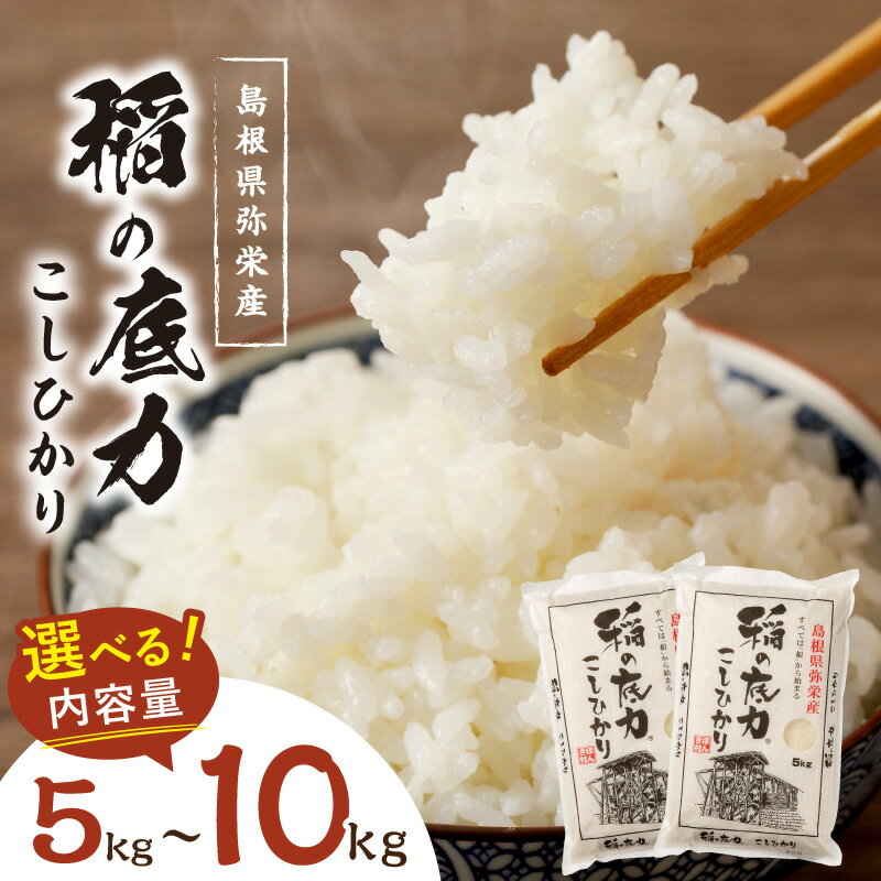 【ふるさと納税】【令和5年産】浜田産「稲の底力こしひかり」 【5kg 10kg】 選べる お米 お取り寄せ 特産 精米 白米 ごはん ご飯 コメ 新生活 応援 準備のサムネイル