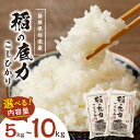 【ふるさと納税】【令和5年産】浜田産「稲の底力こしひかり」 