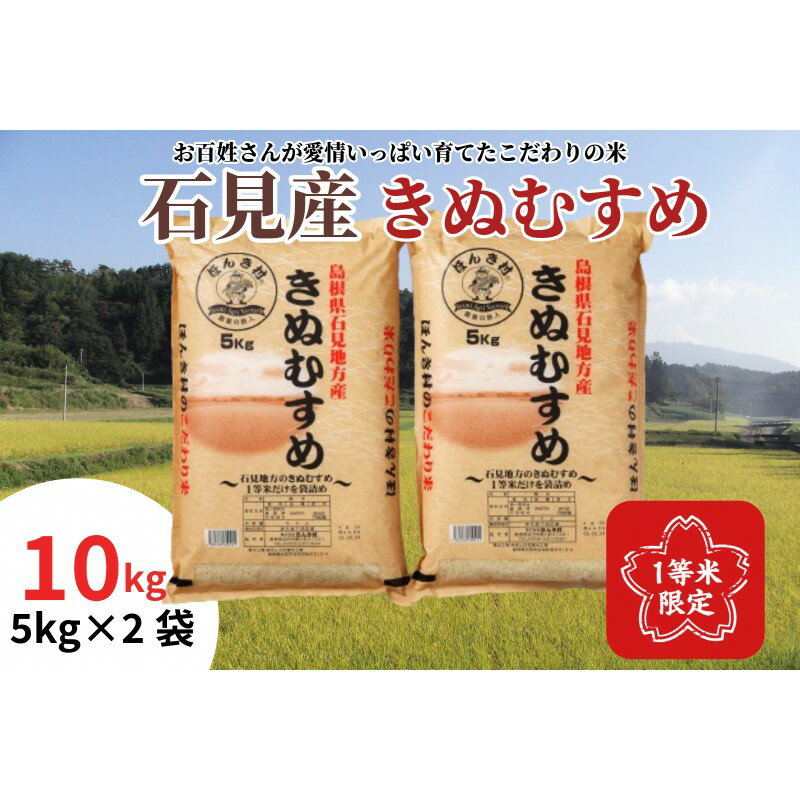 [令和5年度産]石見産きぬむすめ10kg 米 白米 精米 特産 1等米 きぬむすめ 甘み 粘り お取り寄せ 石見 島根 [1947]