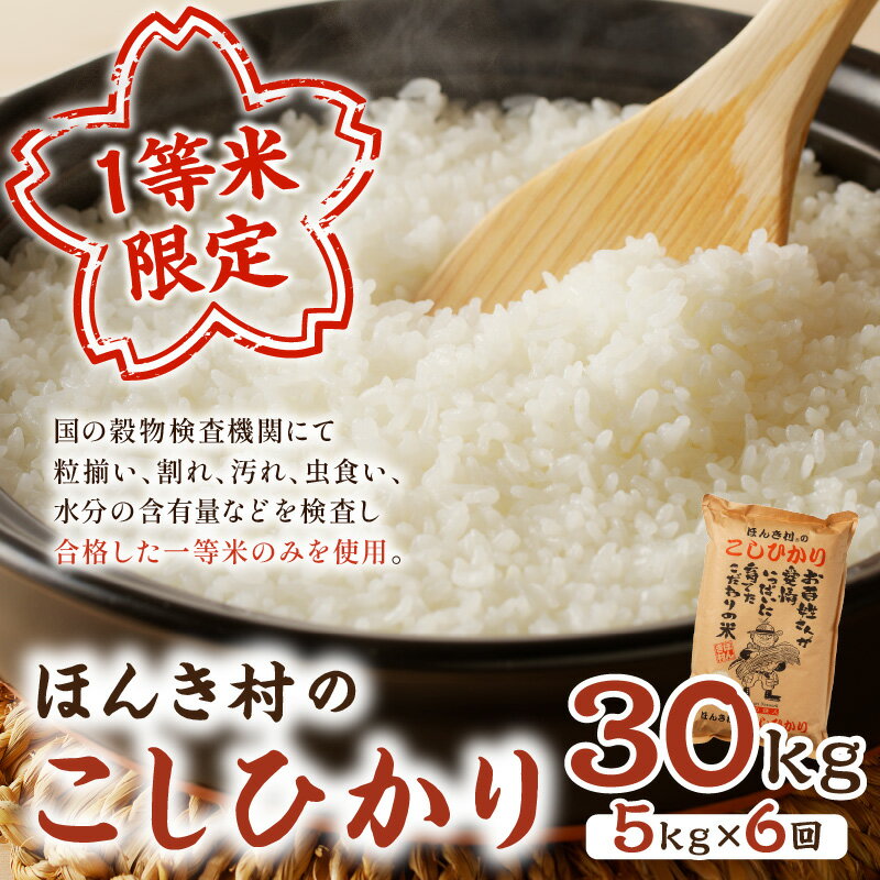 【ふるさと納税】【定期便】【令和5年産】ほんき村の こしひかり 30kg 6ヶ月（5kg×6回コース） お取り寄せ 特産 お米 精米 白米 ごはん ご飯 コメ 新生活 応援 準備 【287】