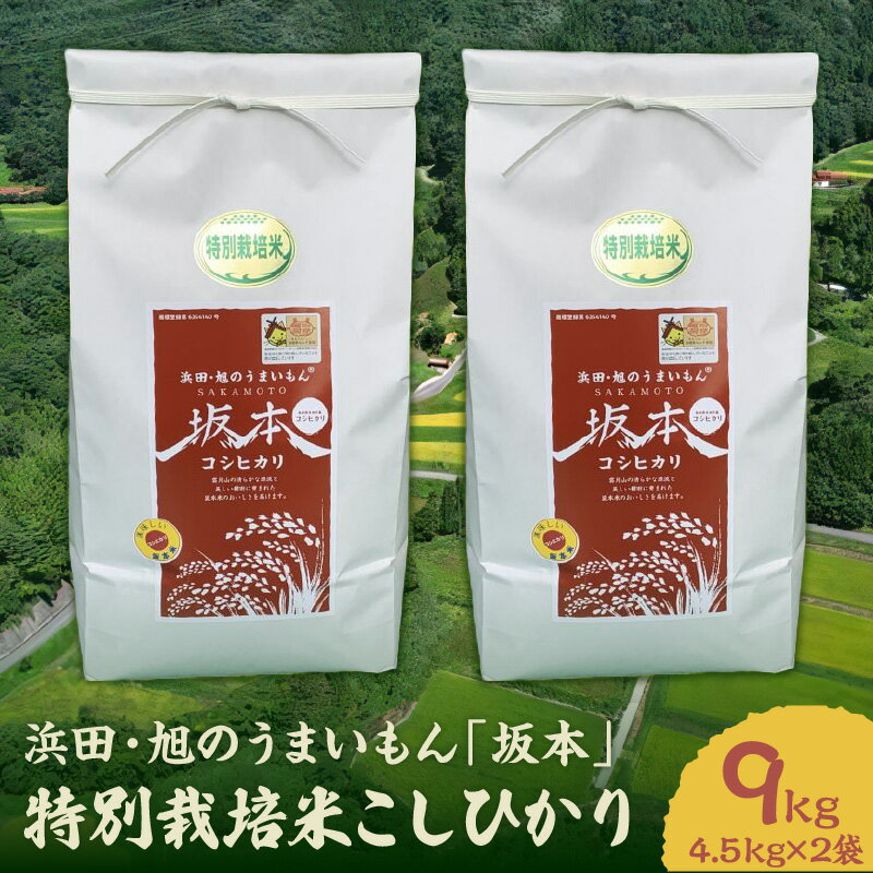 【令和5年産】浜田・旭のうまいもん「坂本」特別栽培米こしひかり 4.5kg×2袋 米 お米 こしひかり 特別栽培米 精米 白米 ごはん 新生活 応援 準備 【1023】