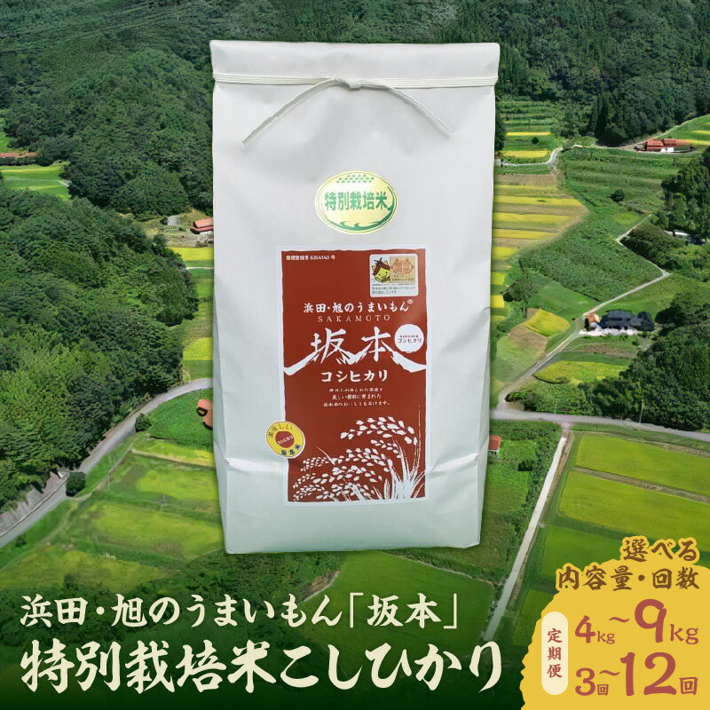 【定期便】【令和5年産】浜田・旭のうまいもん「坂本」特別栽培米こしひかり 【4kg 9kg/3回～12回】 選べる 定期便 米 お米 こしひかり 特別栽培米 精米 白米 ごはん 新生活 応援 準備 お取り寄せ 特産