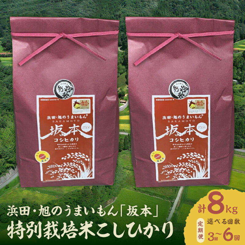 【ふるさと納税】【定期便】【令和5年産】浜田・旭のうまいもん「坂本」特別栽培手塩米こしひかり【8kg/3回 6回】選べる 定期便 米 お米 こしひかり 特別栽培米 定期 精米 白米 ごはん 新生活 応援 準備 特産