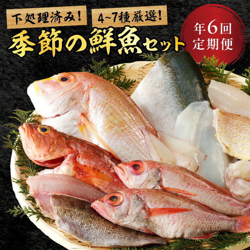 【定期便】季節の鮮魚セット年6回コース 定期便 6回 鮮魚 お任せ お取り寄せ 魚介 鮮魚 セット 下処理済み 【744】