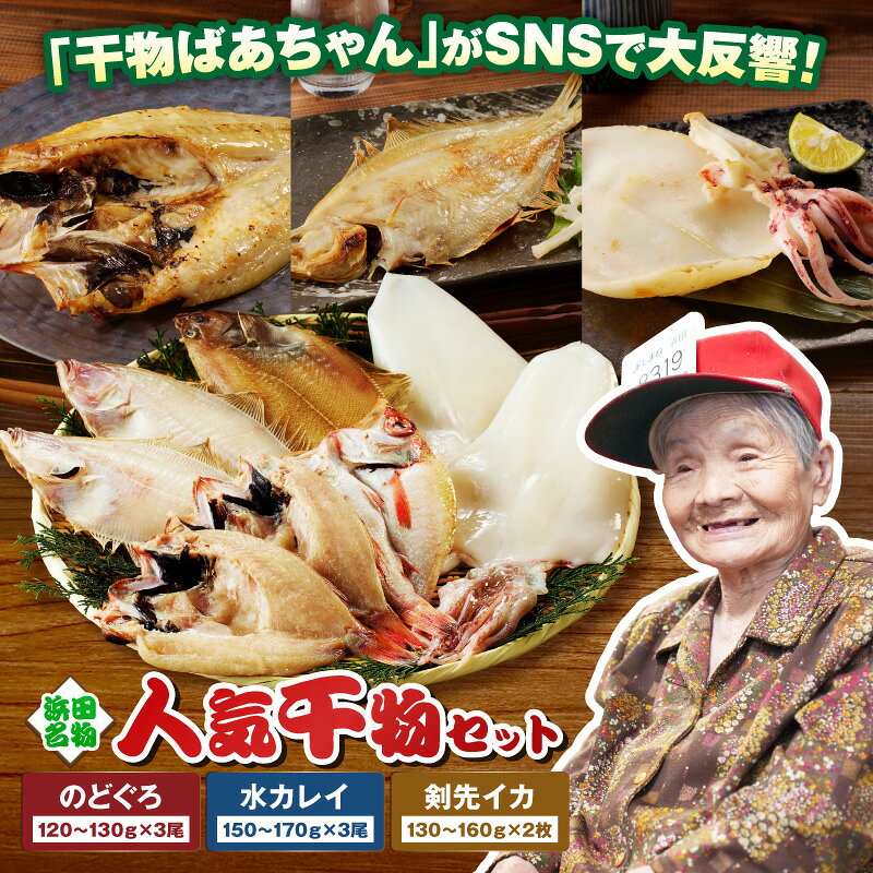 【ふるさと納税】 山陰浜田港水揚げされた人気干物セット 魚介 魚 セット 加工品 干物 のどぐろ アカムツ 水カレイ イカ 剣先イカ 魚介類 魚貝類 干もの 一夜干し ふるさと納税 魚 セット 【025_0437】