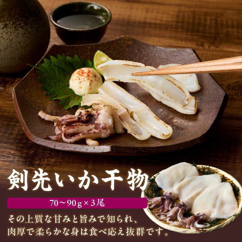 【ふるさと納税】【イカ好き必見！】浜田名物イカ三昧セット（干物・塩辛・いかめし） 【025_0439】