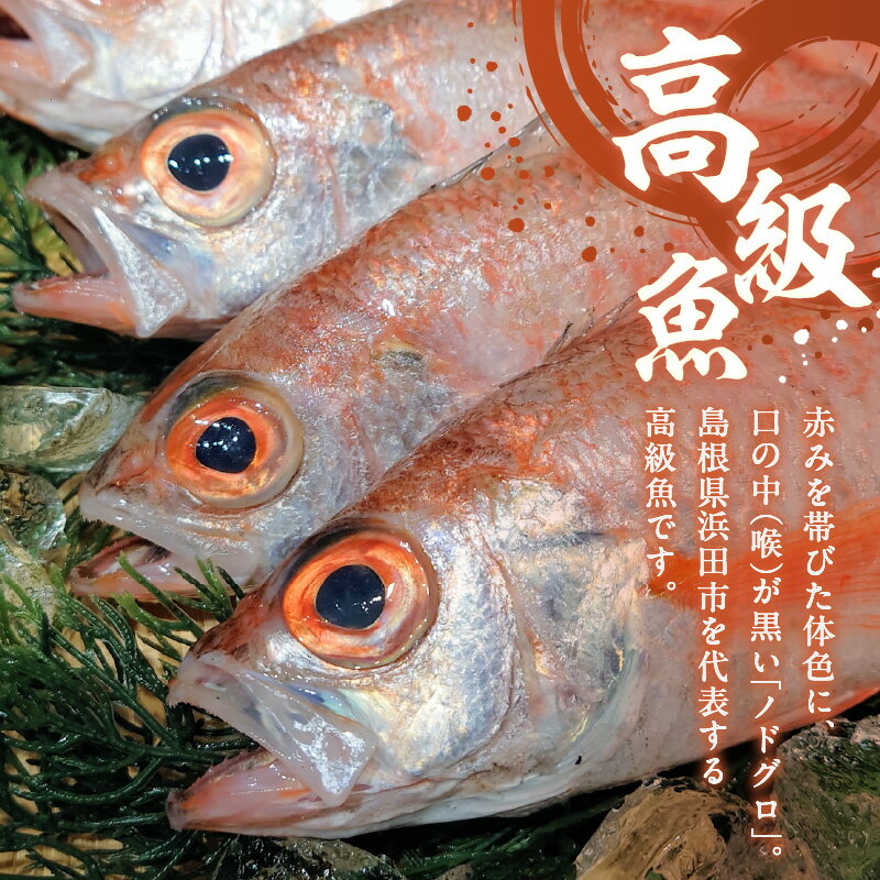 島根県浜田市の画像3