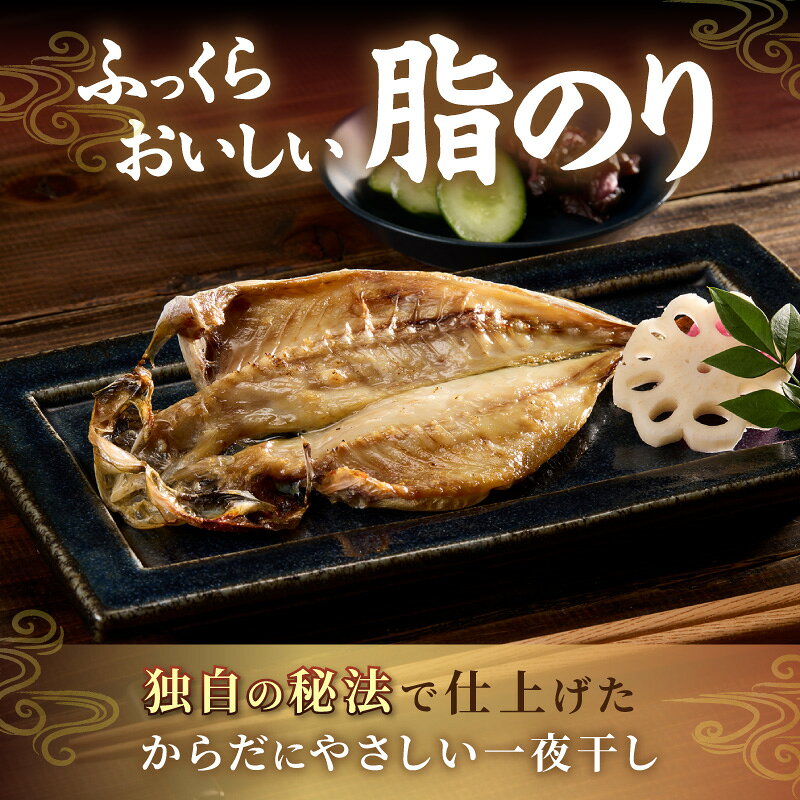 【ふるさと納税】どんちっちあじ一夜干し10枚セット 魚介類 魚 干物 一夜干し あじ 鯵 セット 【136_1970】
