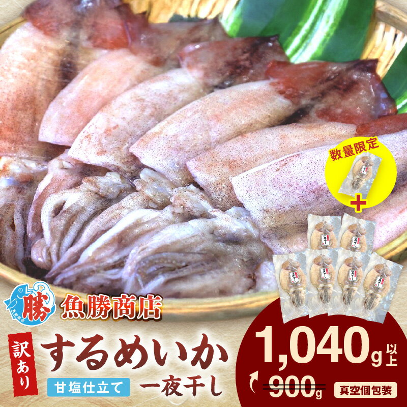 [年内配送][生活応援品][レビューCP対象][訳あり]するめいか一夜干し (6〜7枚)+1枚 計1,040g以上 魚介類 いか するめいか 一夜干し 加工品 おつまみ 訳あり ふるさと納税 するめいか [136_1992]