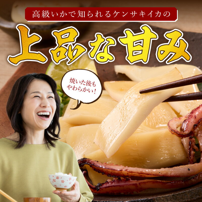【ふるさと納税】大きな「白いか一夜干し（4枚～5枚）」 白いか 一夜干し 干物 干もの 一夜干し ギフト 新鮮 厳選 海鮮 セット 個包装 魚介類 【136_1998】