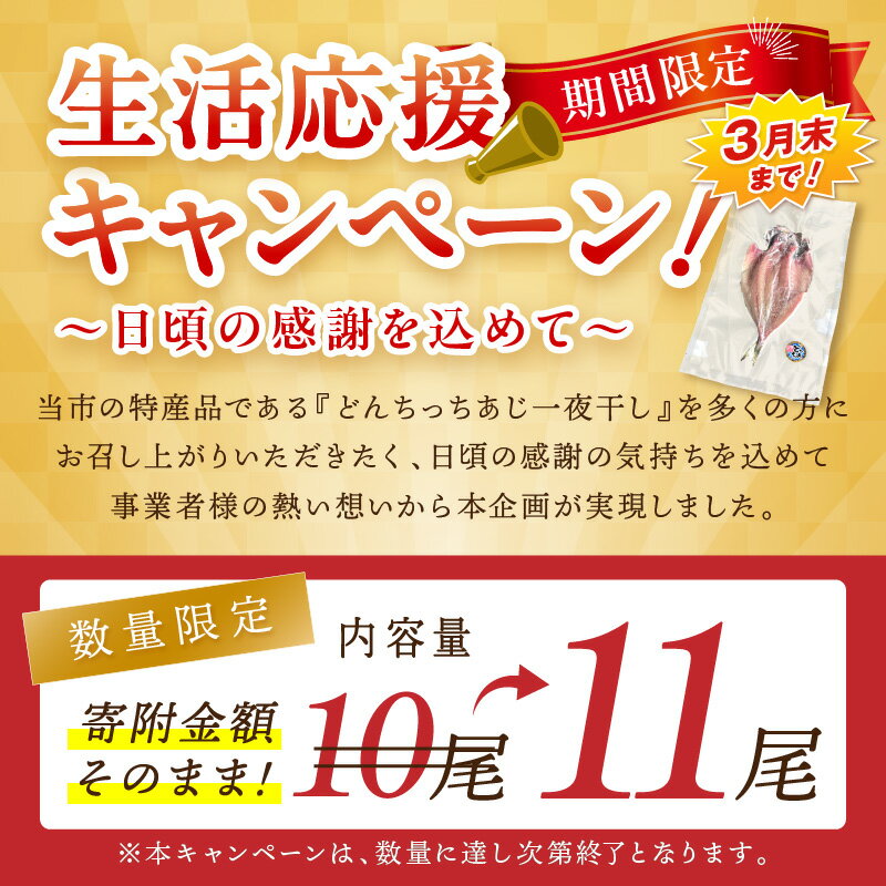 【ふるさと納税】【生活応援品】どんちっちあじ一夜干し10枚セット+1枚　計11枚 魚介類 魚 干物 一夜干し あじ 鯵 セット 【136_2007】