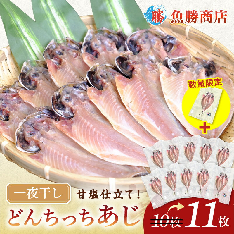 [生活応援品]どんちっちあじ一夜干し10枚セット+1枚 計11枚 魚介類 魚 干物 一夜干し あじ 鯵 セット [136_2007]