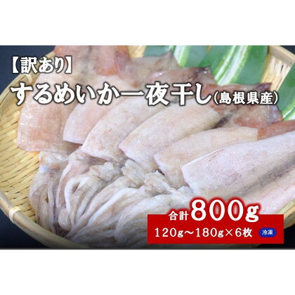 【訳あり】 するめいか一夜干し（120g〜180gx6枚） 魚介類 いか するめいか 一夜干し 加工品 おつまみ 訳あり ふるさと納税 するめいか 【1837】