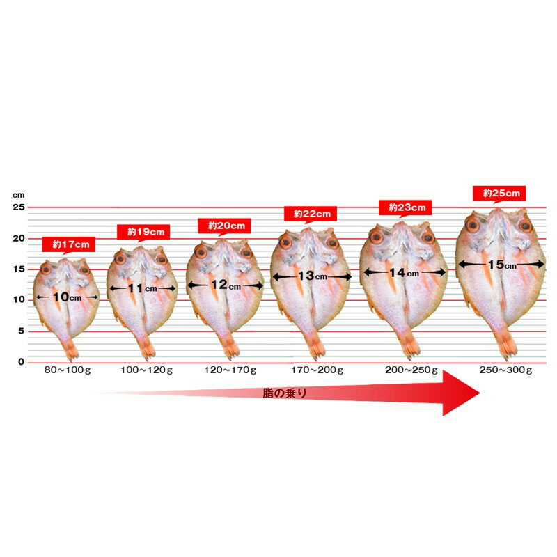 【ふるさと納税】のどぐろ一夜干し 200g～240g（3枚） 干物 ひもの 一夜干し のどぐろ 魚 のどぐろ一夜干し 【962】