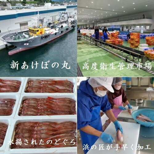 【ふるさと納税】【定期便】山陰浜田港四季の味わい のどぐろ付きアラカルト（年6回奇数月発送コース） 魚 のどぐろ 一夜干し フィレ 干物 干もの 個包装 小分け セット 詰め合わせ 定期 6回 【146_1314】
