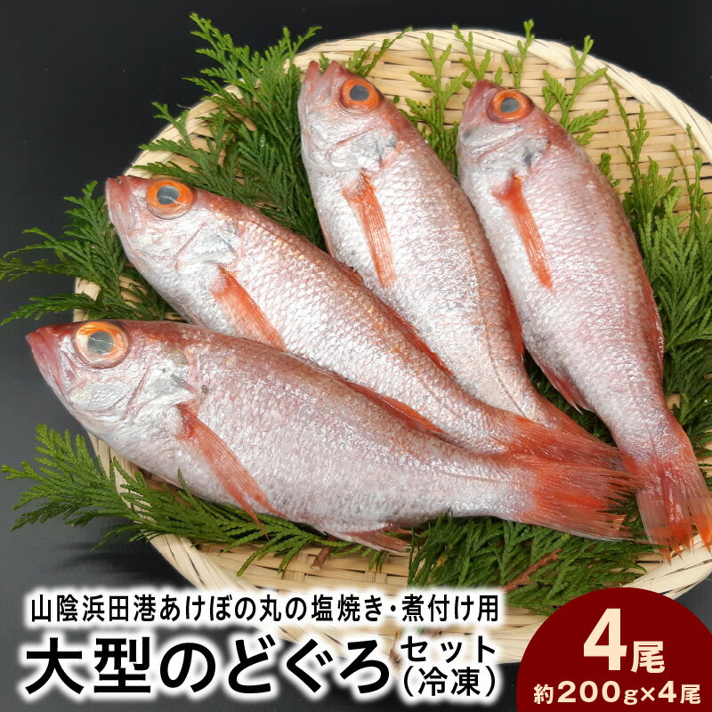 【ふるさと納税】山陰浜田港あけぼの丸の塩焼き・煮付け用大型のどぐろセット（冷凍） 【146_2028】