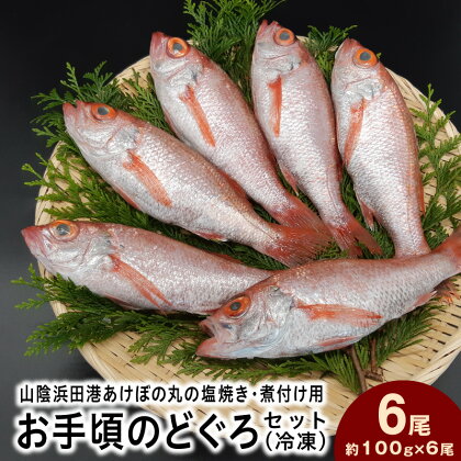 山陰浜田港あけぼの丸の塩焼き・煮付け用お手頃のどぐろセット（冷凍） 魚介類 魚貝類 のどぐろ 塩焼き 煮付 内臓処理済み 【1496】