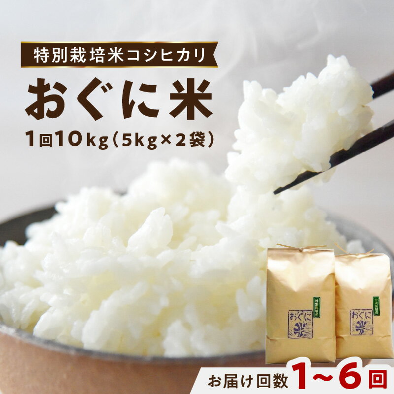 【ふるさと納税】【令和5年産】浜田市金城町産の美味しいコシヒカリ100％【おぐに米】【10kg/ 1回 6回】米 おこめ コシヒカリ 白米 精米 特産品 ごはん お取り寄せ 小分け 選べる 定期便 1