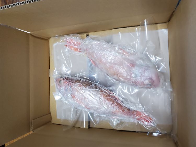 【ふるさと納税】訳あり 魚 魚介類 旬 のどぐろ煮付け用 特大サイズ 2匹【多田商店】 【1432】