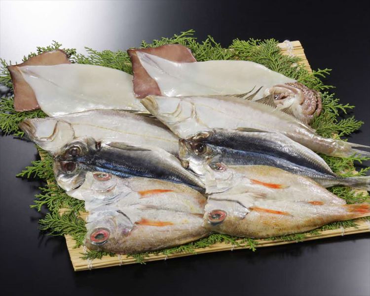 奉書干し「日本海の幸」詰合せ（のどぐろ、あじ、えてかれい、するめいか 各2枚） 魚介類 魚貝類 干物 干もの 一夜干し 干物セット 御中元 御歳暮 ギフト 新鮮 厳選 海鮮 セット 個包装【1441】