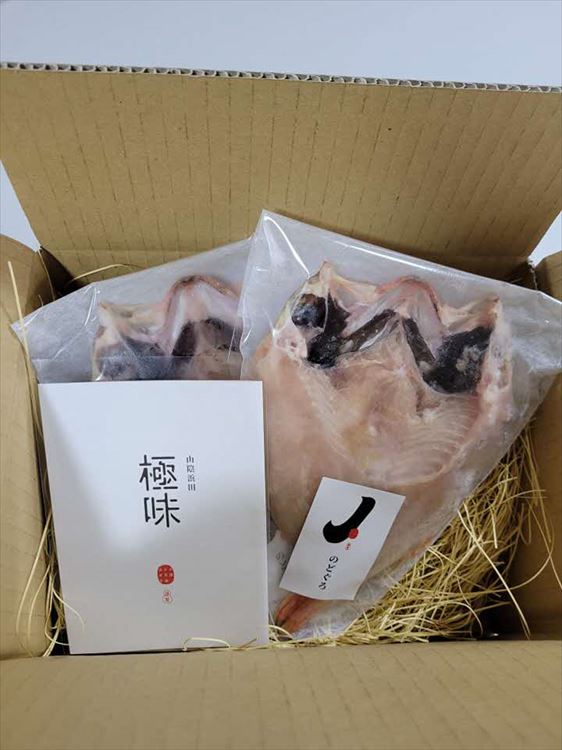 【ふるさと納税】山陰浜田極味 のどぐろ一夜干し（大）2枚入り 干物 冷凍 ひもの 一夜干し のどぐろ お取り寄せ グルメ レシピ付き 【164_1453】
