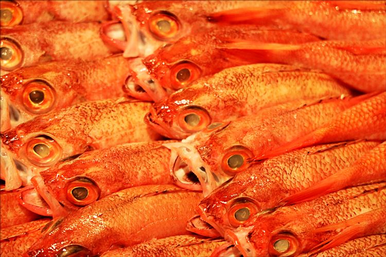 【ふるさと納税】山陰浜田港 名物料理長監修『のどぐろ煮付け』 国民宿舎千畳苑 【141_1904】