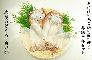 【ふるさと納税】山陰浜田港あけぼの丸と浜の匠ののどぐろ・白いか一夜干しセット 魚介類 魚貝類 干物 干もの 一夜干し ギフト 新鮮 厳選 海鮮 セット 個包装 【146_1491】