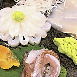 【ふるさと納税】731.冷凍だけど優れもの!浜田港の剣先イカをご家庭で刺身にして味わおう!【シーライフ】