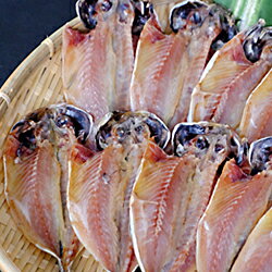 どんちっちあじ一夜干し10枚セット 魚介類 魚 干物 一夜干し あじ 鯵 セット [754]