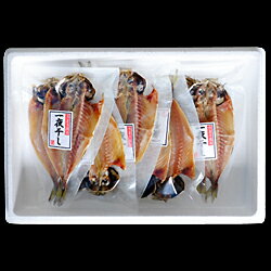 【ふるさと納税】どんちっちあじ一夜干し10枚セット 魚介類 魚 干物 一夜干し あじ 鯵 セット 【754】