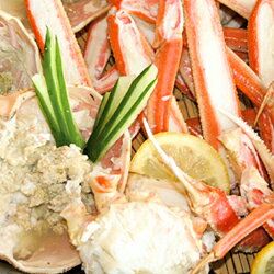 【ふるさと納税】【 国産日本海の松葉蟹をボイルでお届け！ 】