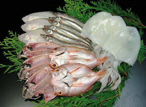 【ふるさと納税】山陰浜田 香住屋のこだわり干物「社長のお任せセット」 魚介類 魚貝類 魚 干物 一夜干し セット 詰め合わせ ギフト 贈り物 【948】のサムネイル