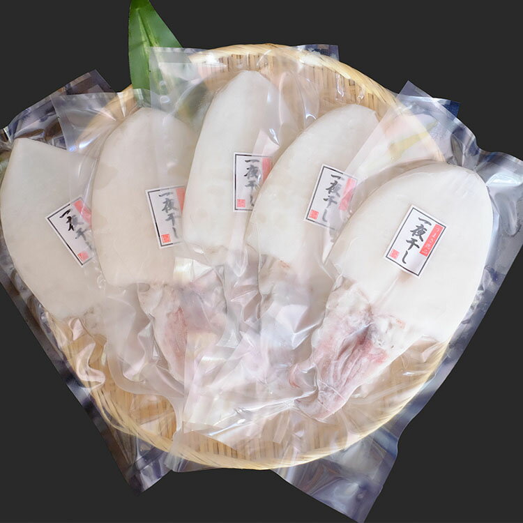 【ふるさと納税】【年内配送】大きな「白いか一夜干し（4枚〜5枚）」 白いか 一夜干し 干物 干もの 一夜干し ギフト 新鮮 厳選 海鮮 セット 個包装 魚介類 【136_1998】