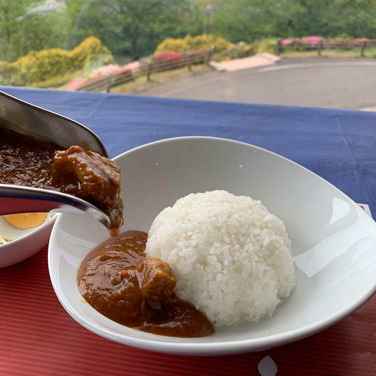 23位! 口コミ数「0件」評価「0」浜田・弥栄産「稲の底力こしひかり」と「TCトマトカレー」のセット 米 お米 こしひかり 一等米 TCトマト トマト トマトカレー セット 保･･･ 