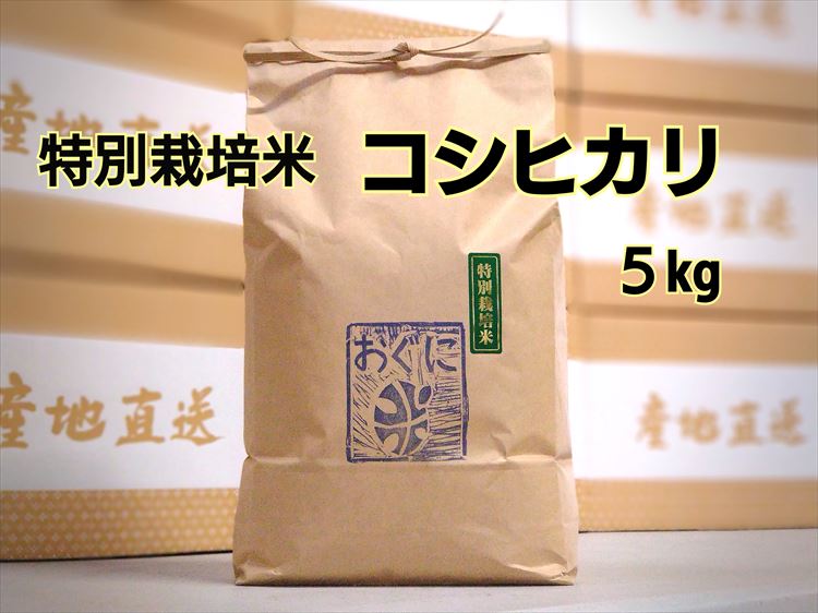 【ふるさと納税】【令和5年産】浜田市金城町産　農家直送特別栽培米　コシヒカリ　5kg 米 お米 精米 白米 ごはん おぐに 新生活 応援 準備 5キロ 特別栽培米 農家直送 【1250】