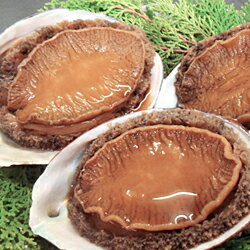 「殻付き・肝付き」あわびの本伝煮 3個入り