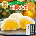 【ふるさと納税】 創業明治34年 山陰浜田老舗菓子舗 甘夏大福 【086_1574】