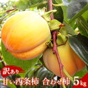 【ふるさと納税】【先行予約】浜田自慢 訳あり甘い西条柿(合わせ柿)5kg≪10月下旬発送開始≫ 【145_1169】