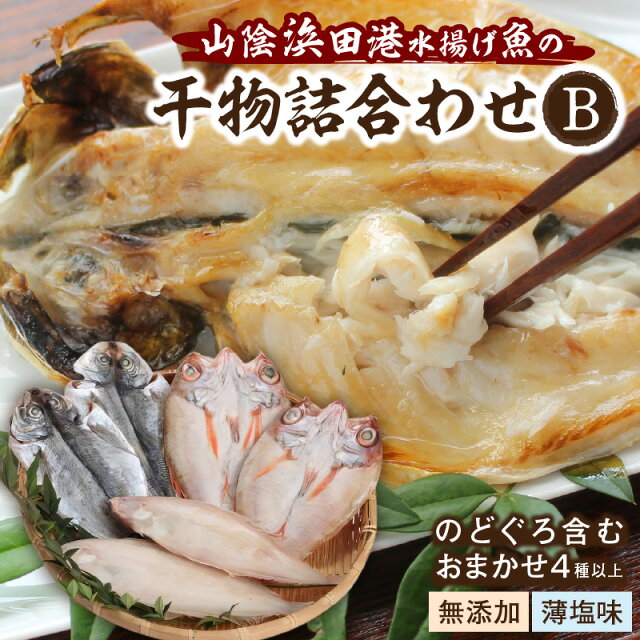 【ふるさと納税】浜田港水揚げ魚の無添加薄塩味干物B（のどぐろを含む） 魚介類...